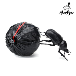 Murmure Street "Dung Beetle" Fine Art Sculpture Preorder