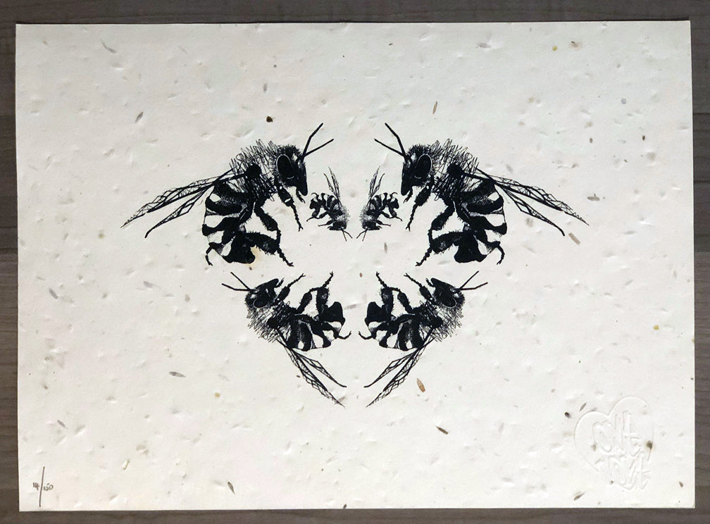 Louis Masai  Louis Masai