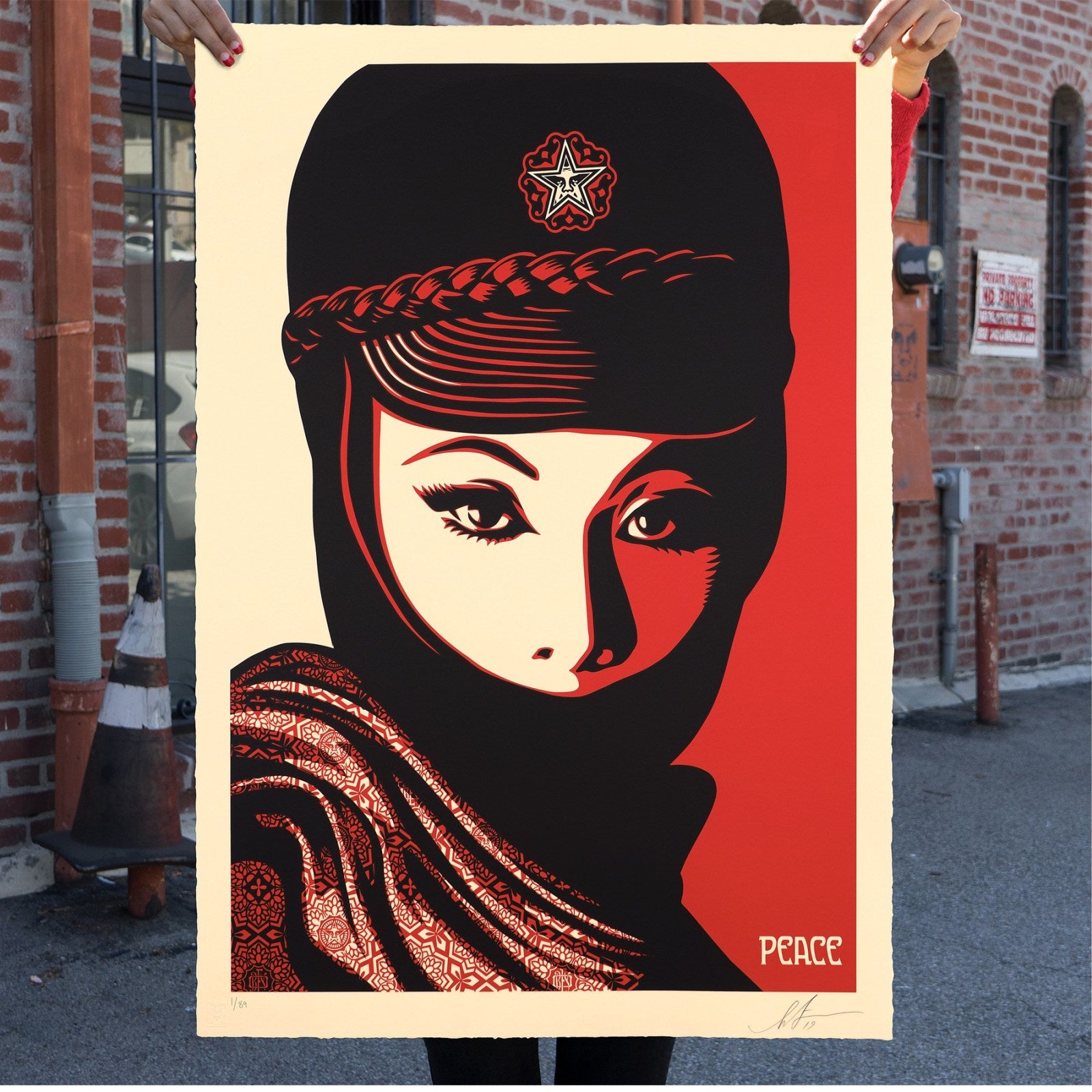 Shepard Fairey  Shepard Fairey