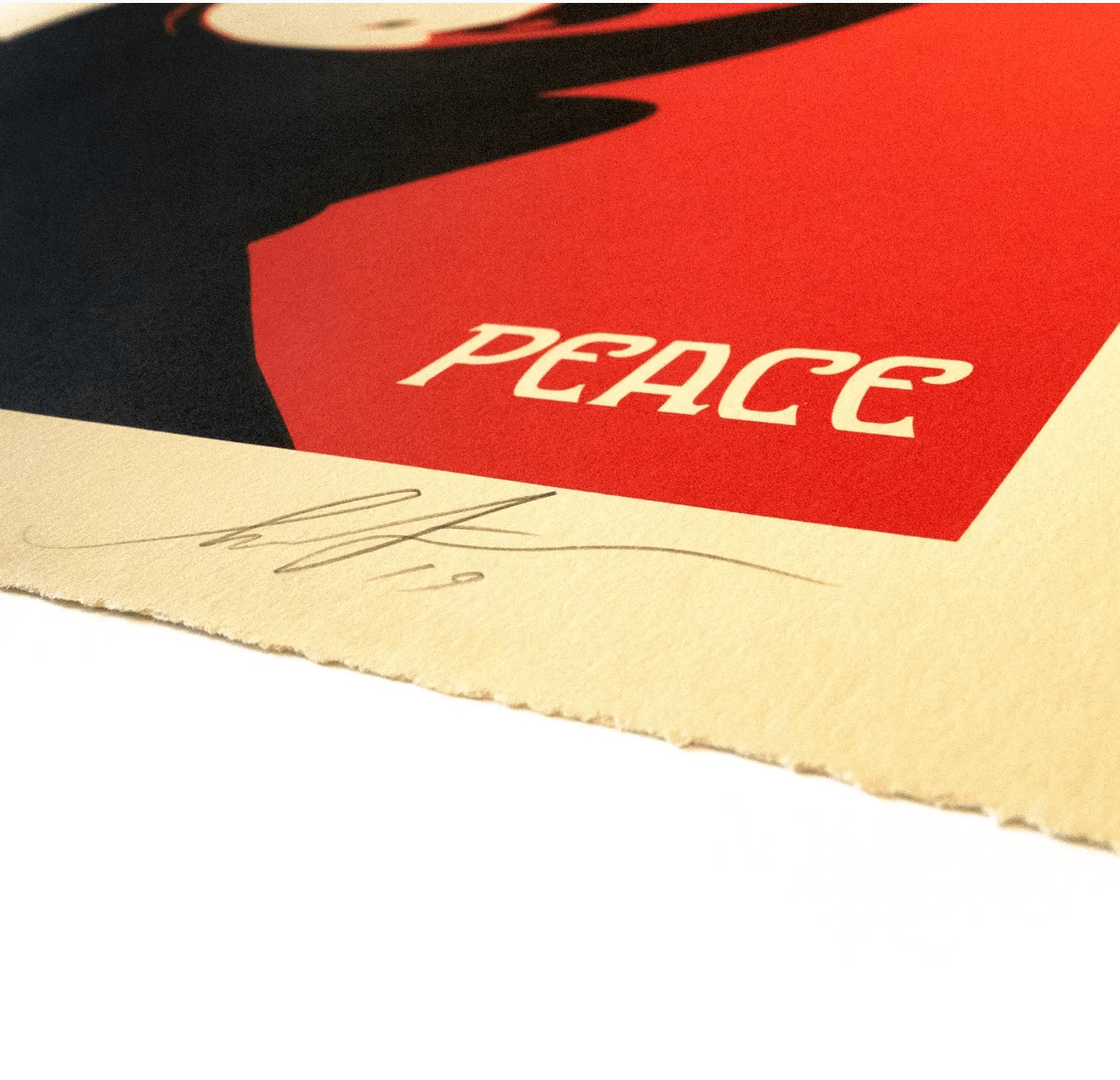 Shepard Fairey  Shepard Fairey