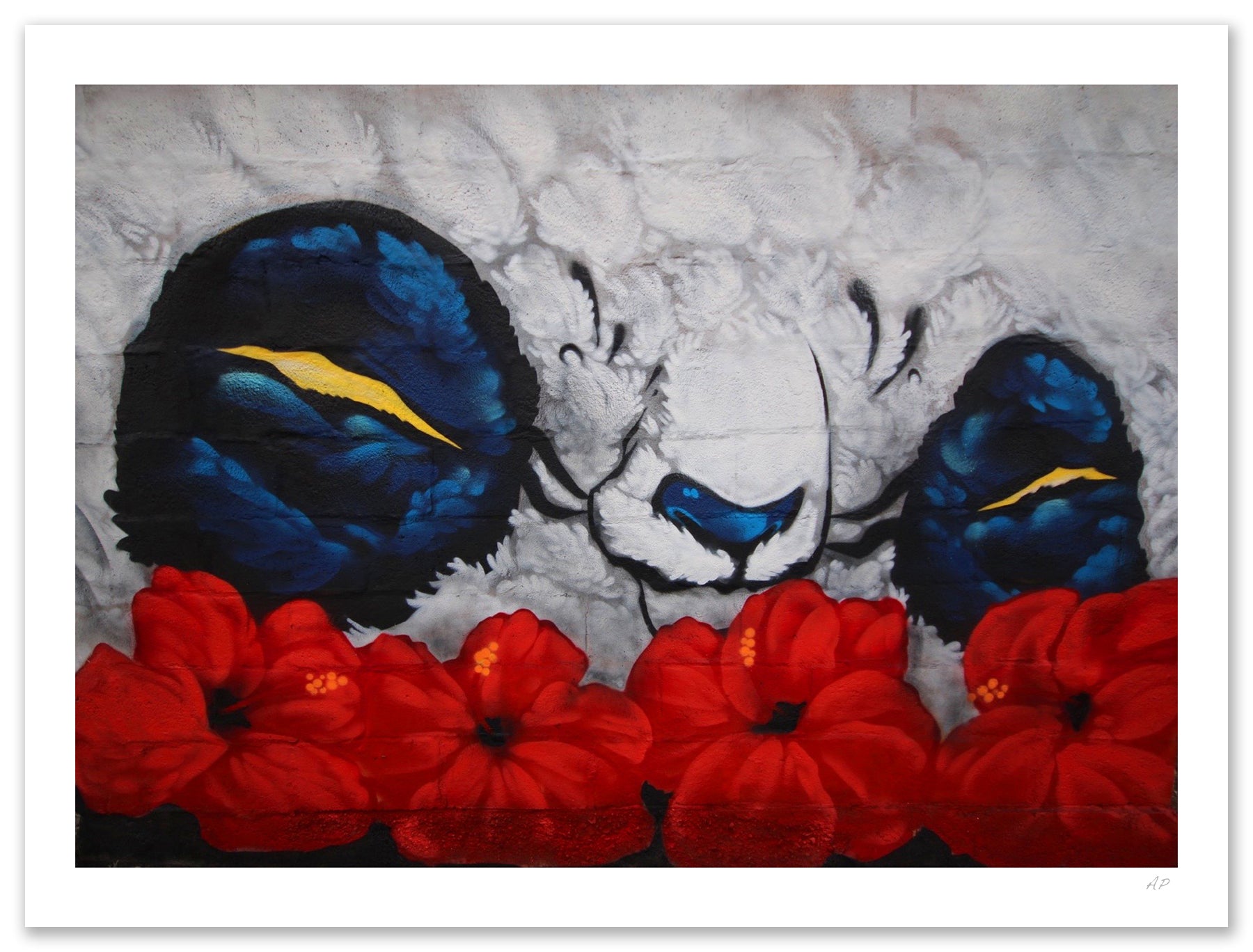 Aaron Woes Martin  Aaron Woes Martin