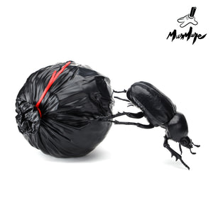 Murmure Street "Dung Beetle" Fine Art Sculpture Preorder